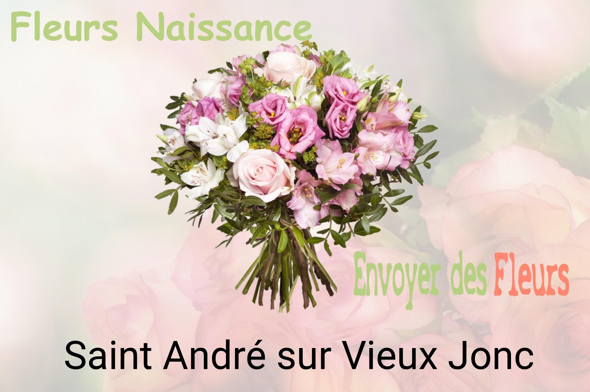 Bouquet de fleurs de naissance livré à Saint-André-sur-Vieux-Jonc