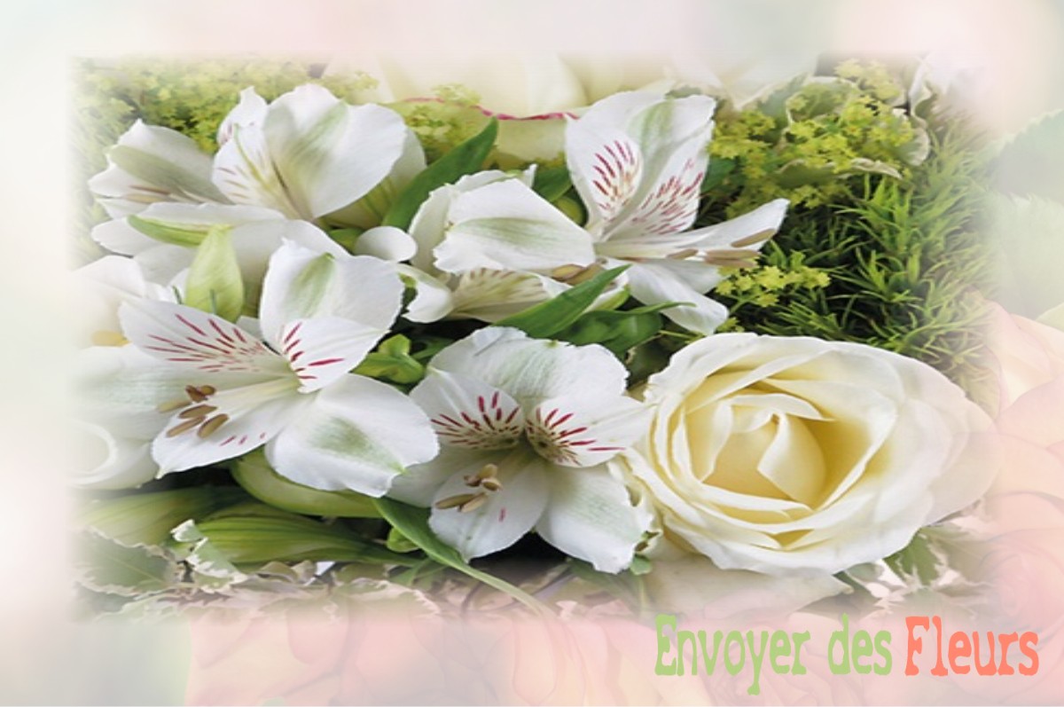 envoyer des fleurs à à SAINT-ANDRE-SUR-VIEUX-JONC