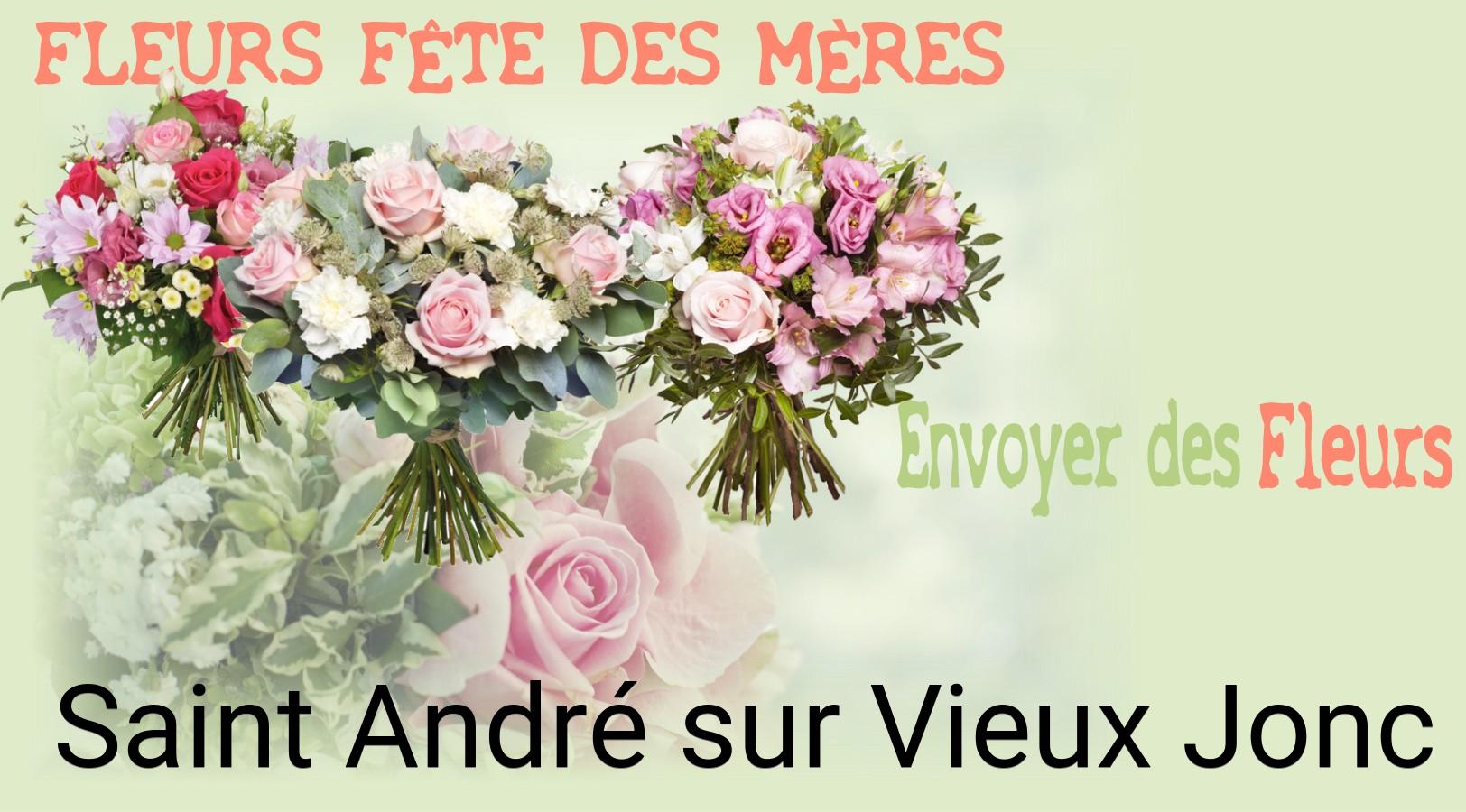 Bouquet de Fête des Mères livré à Saint-André-sur-Vieux-Jonc